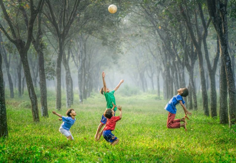 students playing with a ball in a bright forest